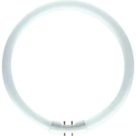 Kruhová zářivka Philips MASTER TL5 Circular 60W/840 T5 2GX13 neutrální bílá 4000K