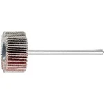 Vějířová bruska NA KŮŇ PFERD 44400183 Průměr 20 mm