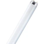 Zářivka Osram, 16 W, G13, 720 mm, studená bílá