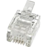 RJ45 konektor econ connect MPL64 - zástrčka, rovná RJ11 čirá, 1 ks