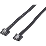 SATA III kabel Renkforce 1x SATA-zásuvka 7pol. - 1x SATA-zásuvka 7pol. 1 m