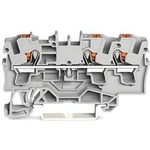 Průchodková svorka WAGO 2204-1301, pružinové připojení , 6.20 mm, šedá, 50 ks
