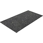 Petex Protiskluzová podložka (d x š x v) 20 cm x 10 cm x 8 mm