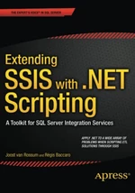 Extending SSIS with .NET Scripting