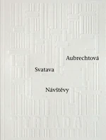 Návštěvy - Svatava Aubrechtová - e-kniha