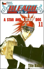 Bleach 11 - Tite Kubo