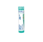 Boiron ARGENTUM NITRICUM CH200 granule 4 g