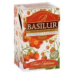 BASILUR Fruit Strawberry & Raspberry 25 sáčků