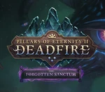 Pillars of Eternity II: Deadfire - The Forgotten Sanctum DLC Steam CD Key