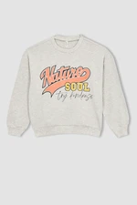 DEFACTO Relax Fit Sweatshirt