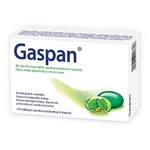 GASPAN 90 mg/50 mg mäkké gastrorezistentné kapsuly 14 kusov