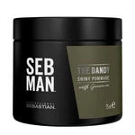 Sebastian Professional Pomáda na vlasy SEB MAN The Dandy (Shiny Pommade) 75 ml Sebastian Professional Pomáda na vlasy SEB MAN The Dandy (Shiny Pommade) 75 ml