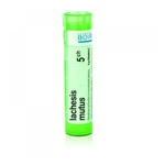 BOIRON Lachesis Mutus CH5 4 g