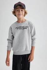 DEFACTO Crew Neck Sweatshirt