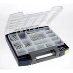 raaco Boxxser 55 5x5-15 kufrík na súčiastky, (š x v x h) 298 x 55 x 284 mm, Priehradiek: 15, 1 ks