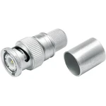 Telegärtner J01000A0061 J01000A0061 BNC konektor zástrčka, rovná 50 Ω 1 ks