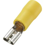 TRU COMPONENTS 1572191 faston zásuvka  Šírka zástrčky: 4.8 mm Hrúbka konektora: 0.5 mm 180 ° čiastočne izolované žltá 50