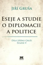 Eseje a studie o diplomacii a politice - Jiří Gruša