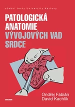 Patologická anatomie vývojových vad srdce - David Kachlík, Fabián Ondřej - e-kniha