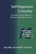 Self-Organized Criticality