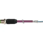 Neupravený zástrčkový konektor pro senzory - aktory Murr Elektronik 7000-13105-8030500 5.00 m, 1 ks