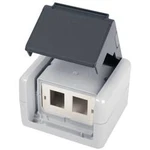 Síťová zásuvka na omítku CAT 5e, CAT 6, CAT 6A Telegärtner H02000a0070, H02000a0070, šedá