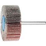 Vějířová bruska NA KŮŇ PFERD 44504066 Průměr 50 mm