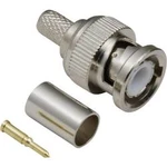 BNC konektor - zástrčka, rovná TRU COMPONENTS 3.20 mm, 50 Ω, 50 ks