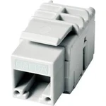 Pouzdro spojky RJ45 Telegärtner J00029K0078, RJ45 bílá, 12 ks