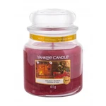 Yankee Candle Holiday Hearth 411 g vonná svíčka unisex