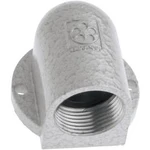 Úhlová průchodka LAPP SKINDICHT® SE PG 36 O. E+D 52024120 litina, přírodní, 1 ks
