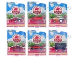 "Down on the Farm" Series Set of 6 pieces Release 8 1/64 Diecast Models by Greenlight