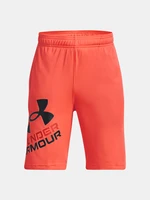 Under Armour Shorts UA Prototype 2.0 Logo Shorts-ORG - Boys