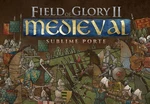 Field of Glory II: Medieval - Sublime Porte DLC Steam CD Key