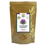 SALVIA PARADISE Ostropestřec mletý plod 120 g