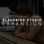 Steven Slate SSD Blackbird (Expansion) (Produkt cyfrowy)