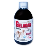 GELACAN Darling biosol 500 ml