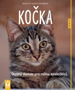 Kočka - Jak na to - Brigitte Eilert-Overbeck