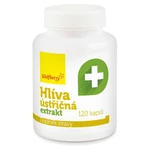 WOLFBERRY Hlíva ústřičná extrakt 120 kapslí