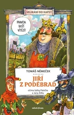 Jiří z Poděbrad očima šaška Palečka a Jana Žižky - Tomáš Němeček - e-kniha