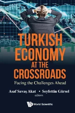 Turkish Economy At The Crossroads