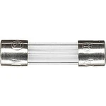 Trubičková pojistka Merten 551292, 551292, (Ø x d) 5 mm x 20 mm 5 A 250 V 1 ks