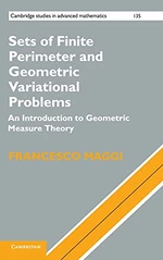 Sets of Finite Perimeter and Geometric Variational Problems