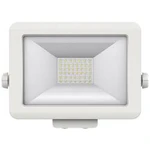 Venkovní LED reflektor Theben theLeda B30L WH 1020685, 30 W, N/A, bílá