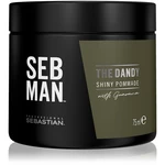 Sebastian Professional SEB MAN The Dandy pomáda na vlasy pro přirozenou fixaci 75 ml