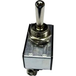 TRU COMPONENTS TC-R13-28C-06 pákový spínač 250 V/AC 10 A 1 zap/zap  s aretáciou 1 ks