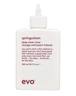 evo Hloubkově čisticí šampon pro kudrnaté a vlnité vlasy Springsclean (Deep Clean Rinse) 300 ml