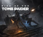 Rise of the Tomb Raider: 20 Year Celebration Steam Altergift