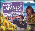 Learn Japanese To Survive! Kanji Combat - Flash Cards DLC Steam CD Key