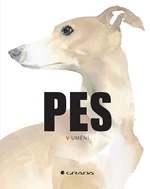 Pes v umění,